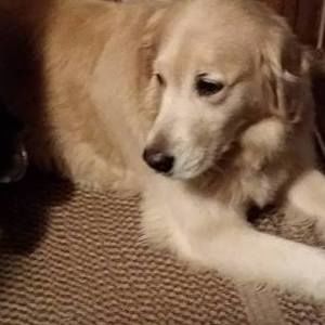 Meet your Posher, Arlene